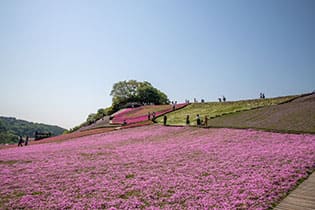 四季ごとの多種多様な楽しみ方で遊べる