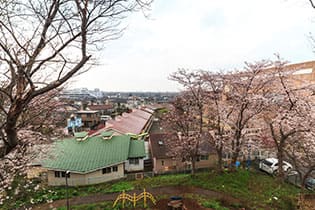 桜の名所としても人気の公園	