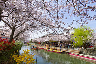 柳川市の場所