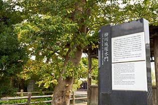 様々な藩主のもとにできた城下町
