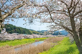 行橋市の周囲地理