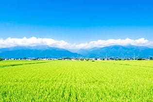行橋市の天気