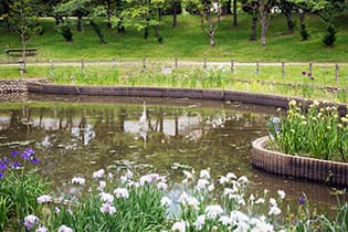 白鷺公園