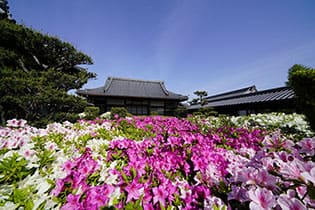 美しい景観とゆったりとした雰囲気が魅力の寺