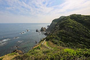 自然が作り出した芸術