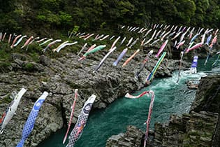 徳島県最西端に位置する町