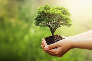 エコで経済的な生活の実現