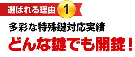 どんな鍵でも開錠！