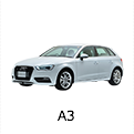 A3