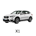 X1