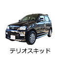 テリオスキッド