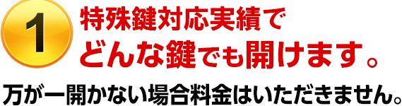 （1）特殊鍵対応実績でどんな鍵でも開けます。