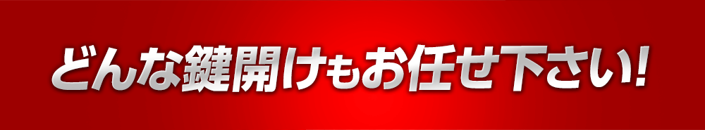 どんな鍵開けもお任せ下さい！