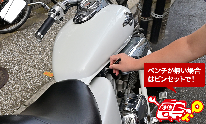 毛抜き(ピンセット)で抜く