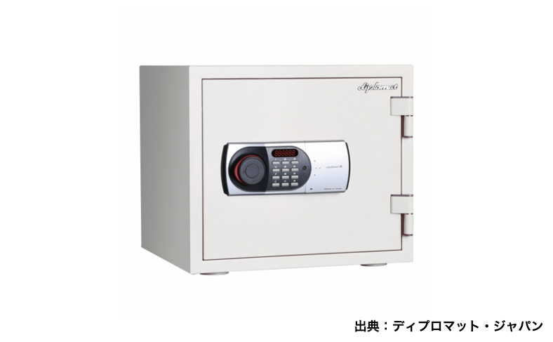 ディプロマット119EN88