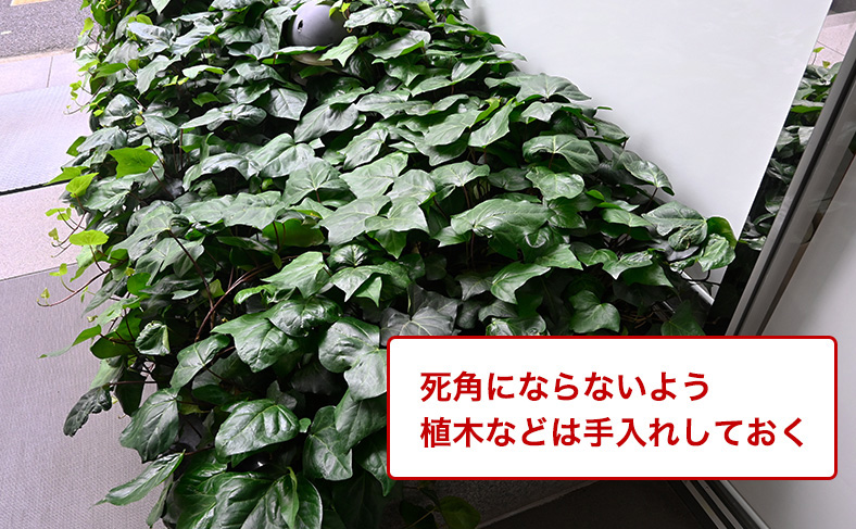 庭や植木の手入れをこまめに行う
