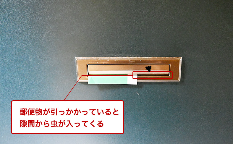 虫が入ってくる
