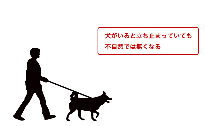 犬の散歩