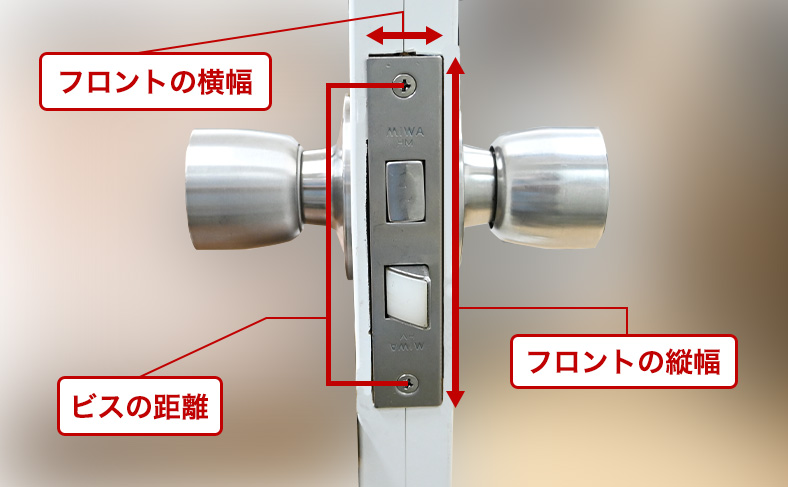 フロントのサイズ