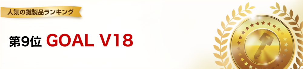 第9位 GOAL V18補助錠