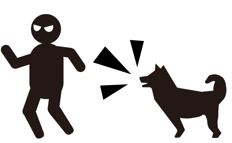 犬を飼っている