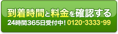 0120-3333-99