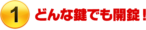 どんな鍵でも開錠！