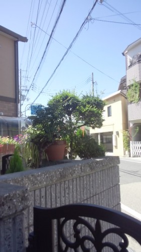 髙橋です。（仙台支社）