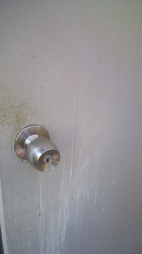 ゴミ屋敷き化寸前の住宅に行ってきました…（涙）