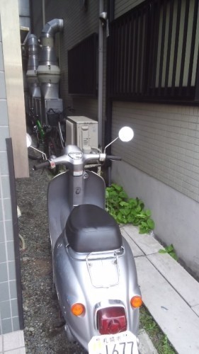 越谷市南越谷：ホンダ　トゥデイ