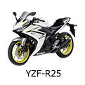 YZF-R25